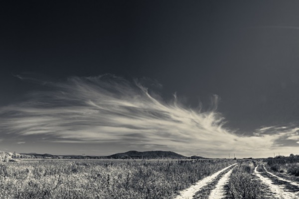 好听的带兔的网名