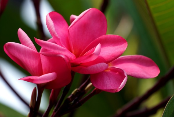 找个群网名好听