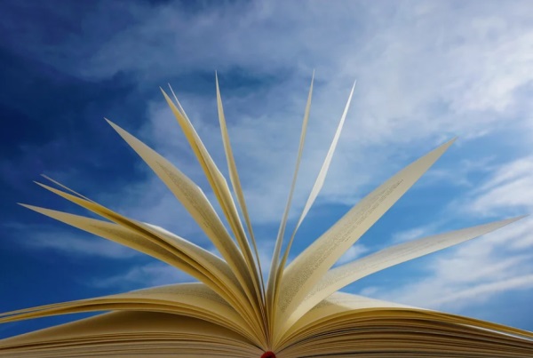 好听听的网名社会女