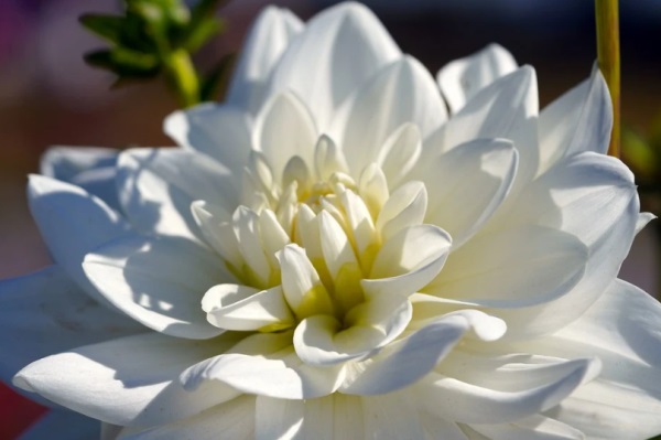 思组成好听的网名