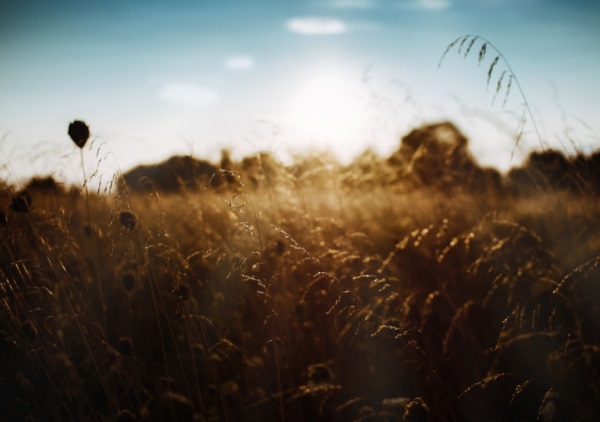 6字好听网名男生