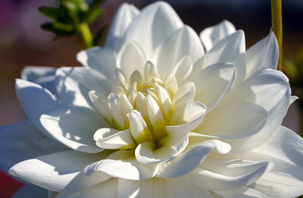 好看好听的男生网名