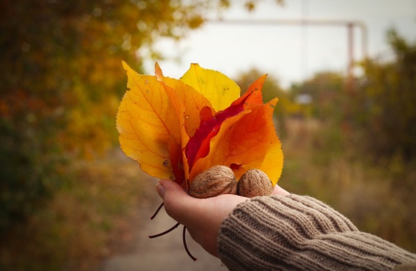 淡墨这个网名好听吗