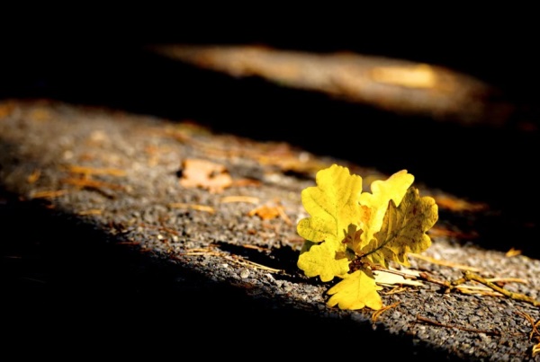 形容琴声好听的网名