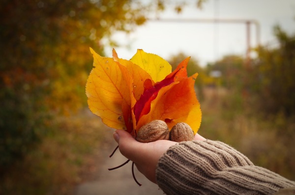 好听的男生网名乐观