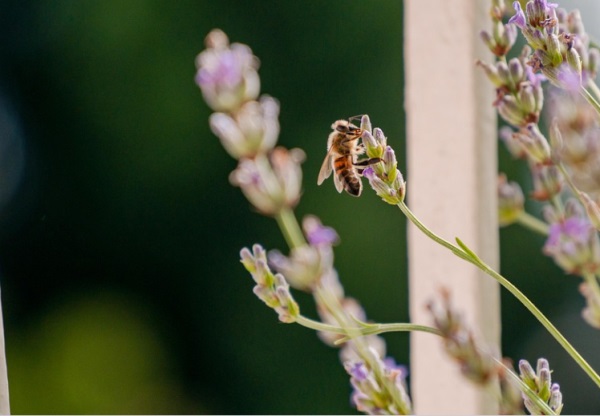 好听罕见的网名