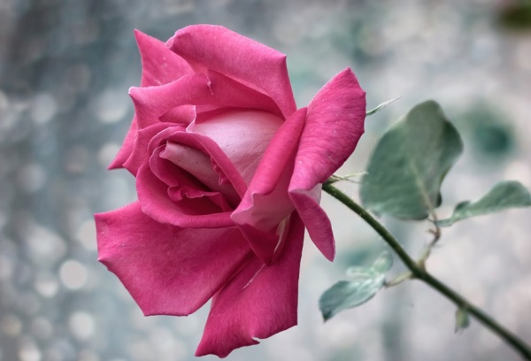 女生独特好听网名