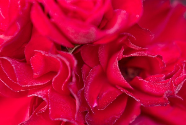 我想有个好听的网名