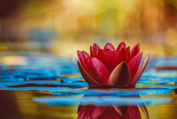 英雄联盟好听网名大全