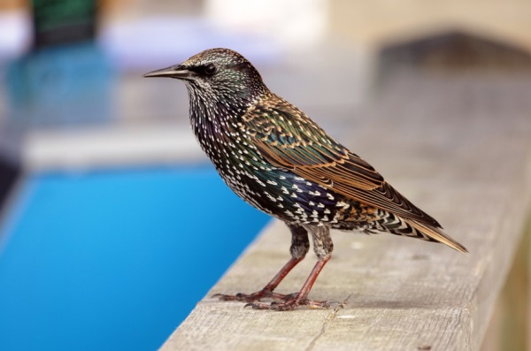 中学女生好听网名