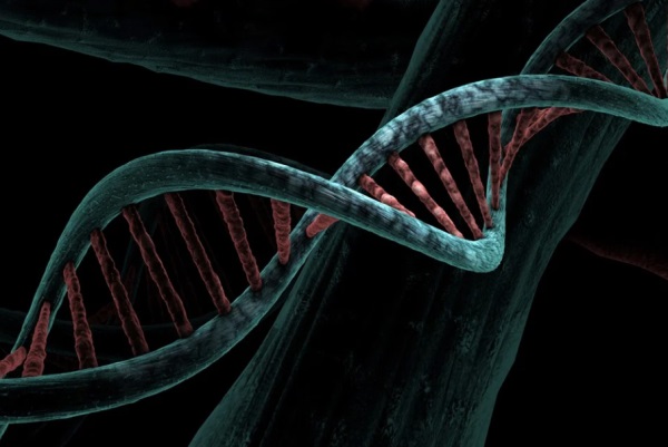 听过最好听的女孩名字