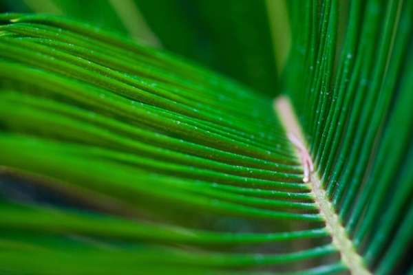 带火木属性有寓意的男孩名字