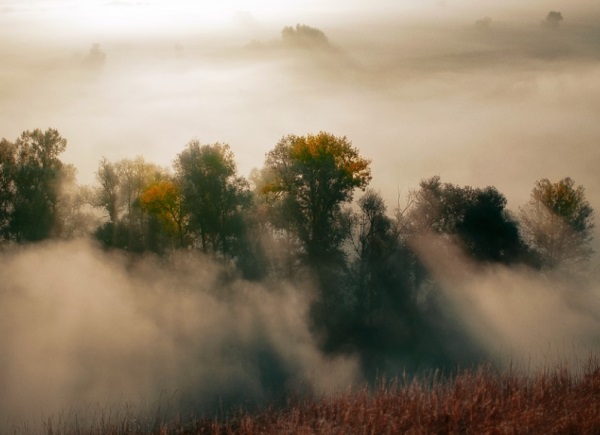 带影字的男孩名字,影字名字大全男孩名字