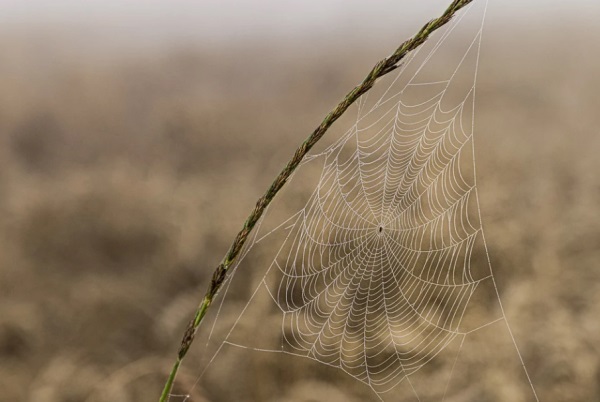 睿取名字男孩有寓意