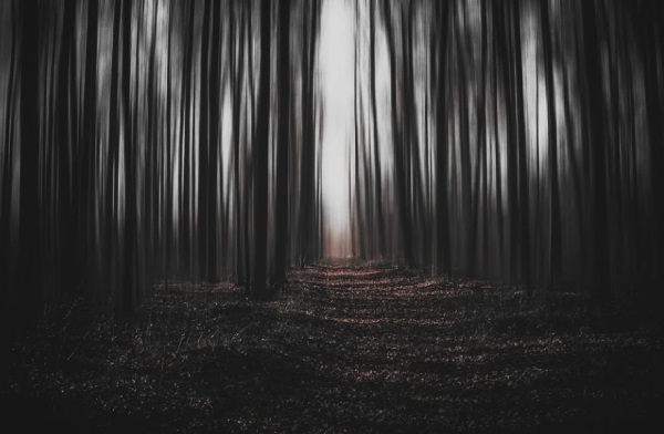 女孩起名 2025年端正大方的女孩名字大全