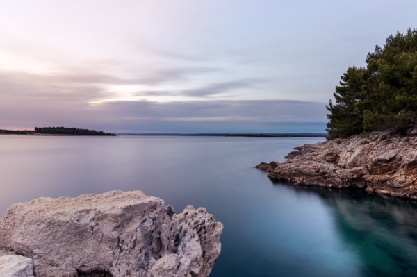好听的顾姓女孩名字网友问答