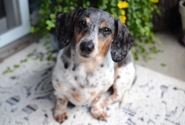 保字辈男孩起名方法 男孩怎么起名有好寓意