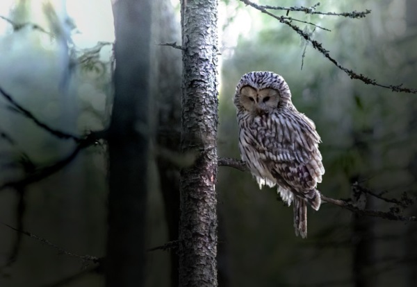 和烨字搭配的男孩名字，和烨字搭配的男孩名字推荐