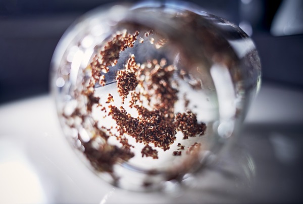 凌姓男孩名字大全