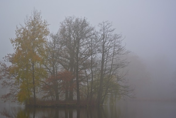 宋词里惊鸿一瞥的女孩名字，文艺而有韵味，适合才女！