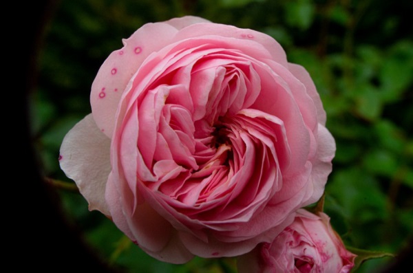 用廉字取名，廉字取名男孩名字大全