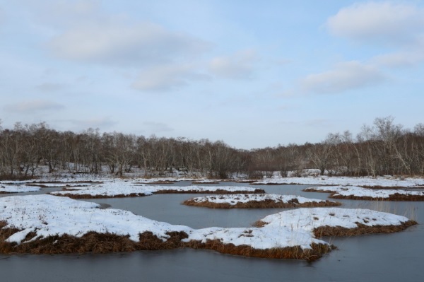 2025年任姓新潮的女孩名字怎么起？