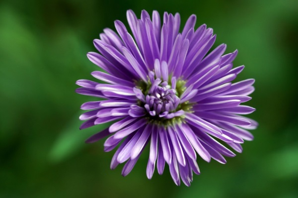 小名如何取？看看这些瞬间就明白了