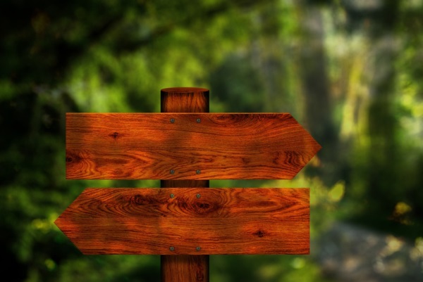 男孩名字大全2025属兔免费（精选100个）