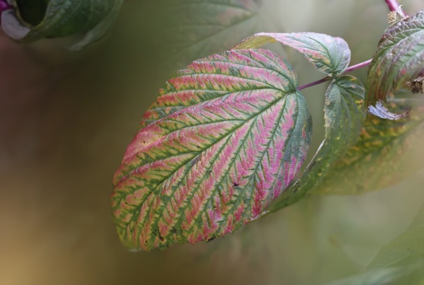 用《易经》取名可以惊艳到什么程度?