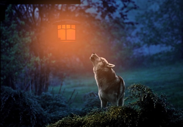 异人之下经典台词,字字珠玑,热血沸腾!