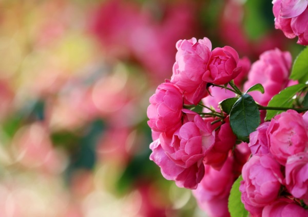 简单不俗气的女孩名字,龙女宝宝好听稀少的名字