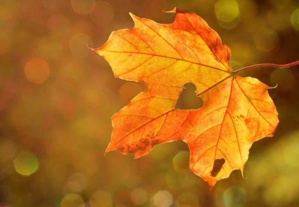 忆字取名女孩名字大全集