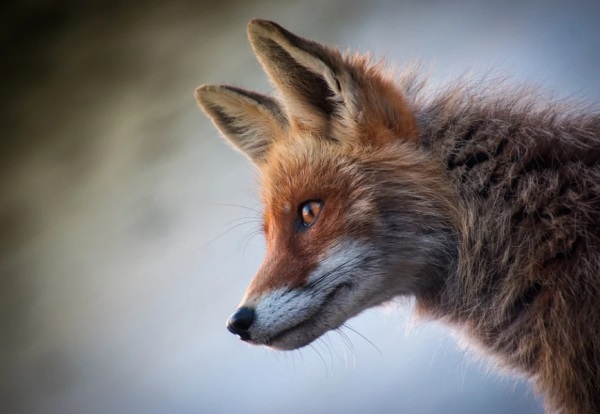 百家姓取名大全：岑姓女孩名字三个字