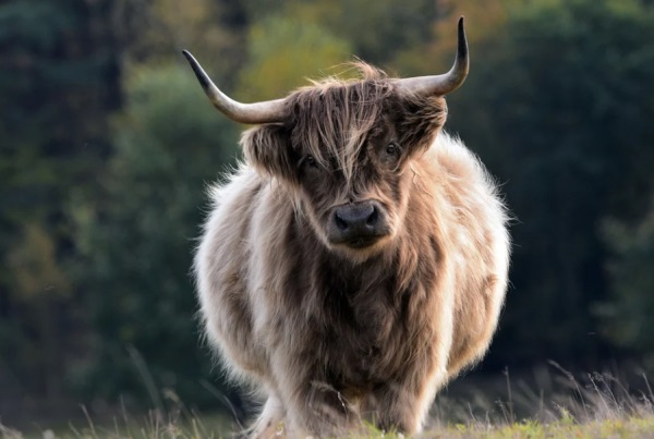 2025乖巧懂事的宝宝小名大全