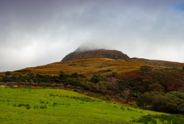 李姓女孩名字大全_姓李的女孩名字_李姓女宝宝起名