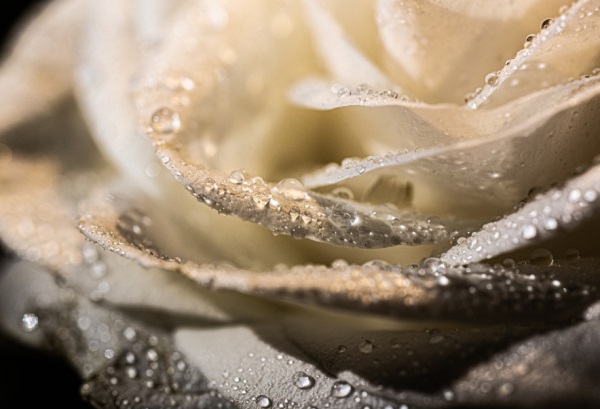 李姓女孩名字大全_姓李的女孩名字_李姓女宝宝取名