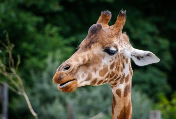 有内涵过目不忘的名字男孩名