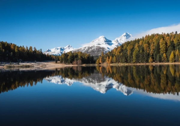 仓储公司名称起名大全