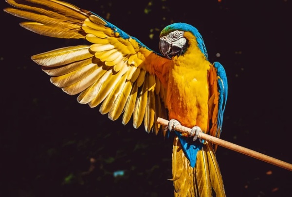 2025辛丑年男宝宝起名技巧大全