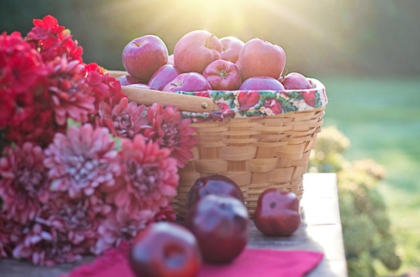 腹有诗书气质的女孩名有哪些（光有气质可不行）