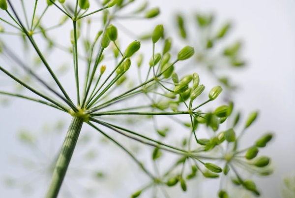 女孩名字大全 最好听的女孩名字精选