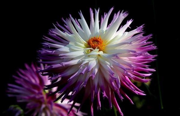 姓房的男孩起名-房姓男孩名字大全