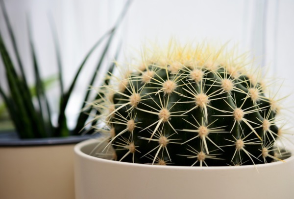 恺字跟什么字取名最好