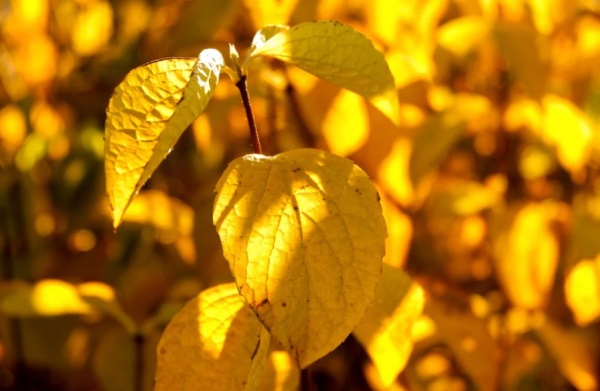 起名字大全女孩 这样取名最好听