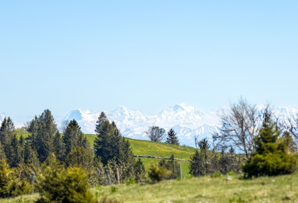 起名字大全女孩 这样取名最有效