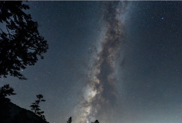 超抢手！洋气又动听的宝宝小名，幸福感满满！