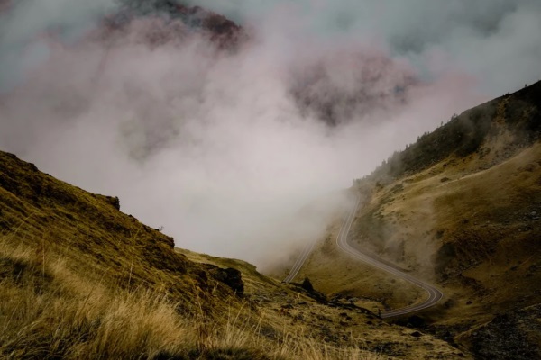 百家姓起名大全：尤姓女孩起名