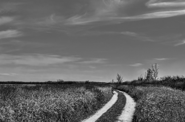 好听好记好喊 小孩乳名大全
