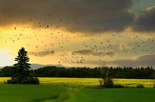 女孩子起名字大全