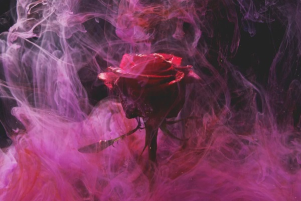 百家姓起名_鸡年王姓男孩名字大全